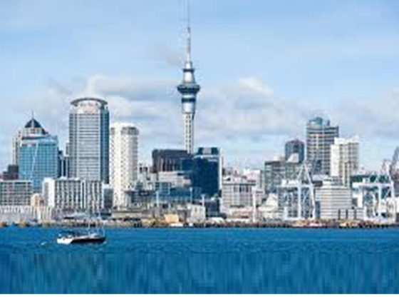 Study in Newzeland