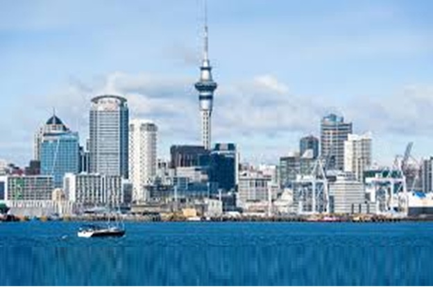 Study in Newzeland